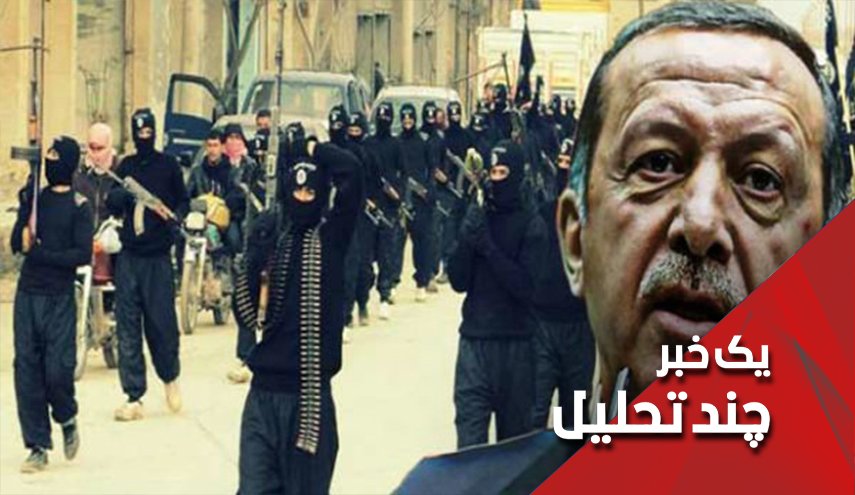 اعلام برادری النصره با اردوغان
