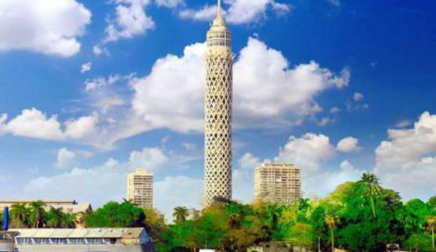 تغريدة 