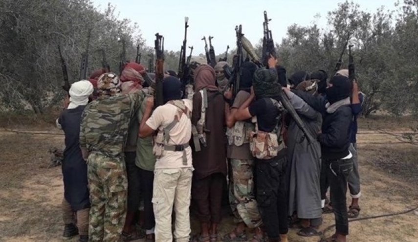 آمادگی قبائل شمال مصر برای درگیری گسترده با داعش