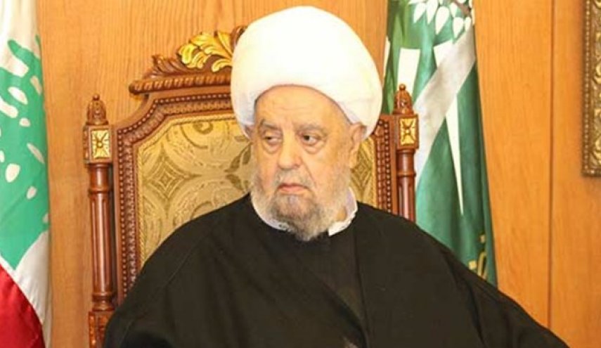 مجلس اسلامی شیعیان: تنها راه آزادسازی فلسطین، مقاومت است