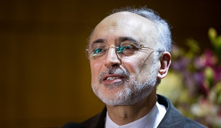 صالحی: نام سردار شهید سلیمانی با نام قدس شریف عجین شده است
