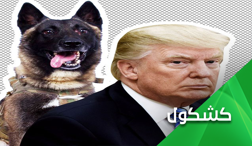 چرا ترامپ تهدید کرد که سگ های وحشی را به جان معترضان می اندازد؟