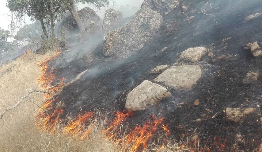 آتش‌سوزی در جنگل‌های بلوط بلند سدکارون ۴ مهار شد