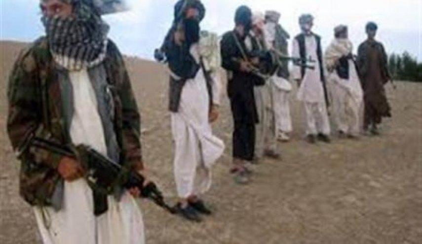 سجناء طالبان المفرج عنهم مشروع مقاتلين جدد