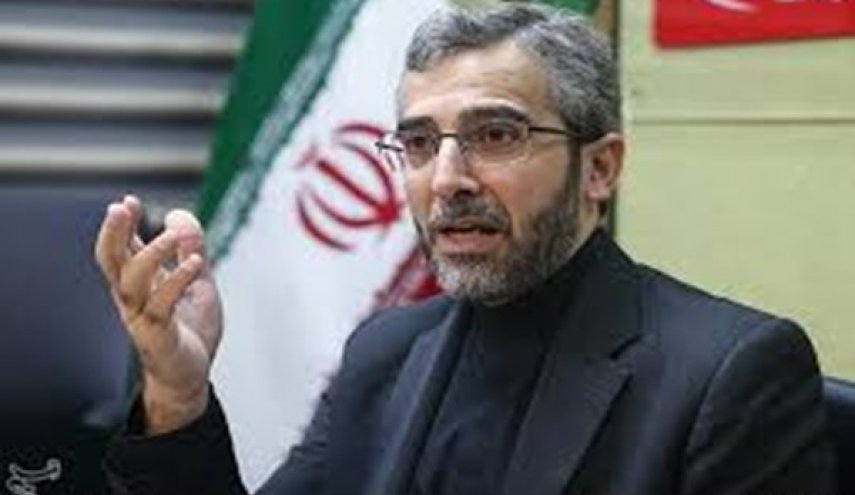 باقري: بعض الدول الاوروبية تحولت الى ماوى للمتطاولين على الشعب الايراني