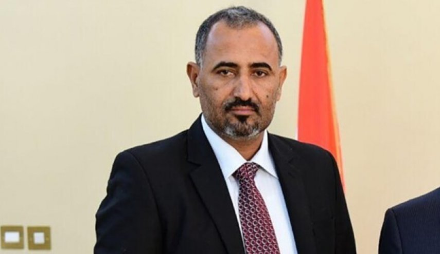 شورای انتقالی جنوب یمن خواستار تشکیل دولت جدید شد
