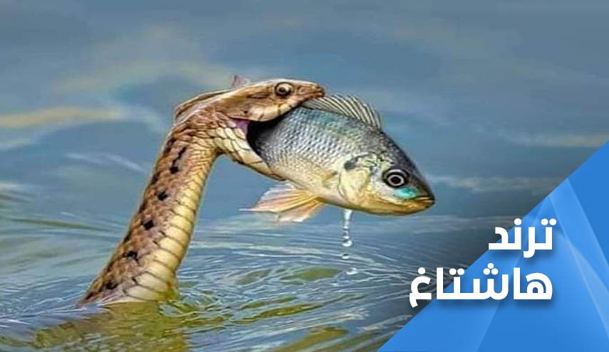 السعودية عدو تاريخي لليمن