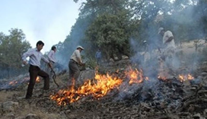 سیلی سرخ آتش بر دامان جنگل‌های اطراف گرگان