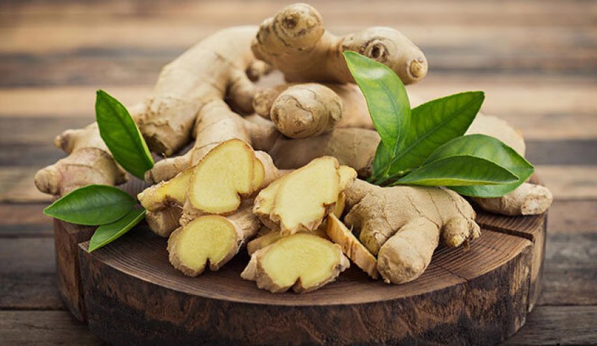 با این ۱۵ خوراکی‌ سیستم ایمنی بدنتان را در برابر کرونا تقویت کنید