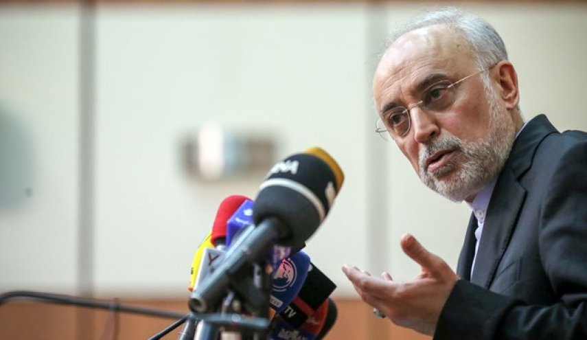 صالحی:فراتر از تعهداتمان، قطعا خواسته‌ای را نمی‌پذیریم
