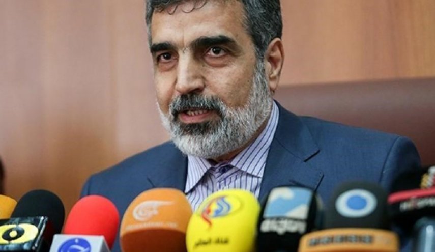 واکنش کمالوندی به خبر دومین بازدید آژانس: امیدوارم بهانه از آمریکا گرفته شده باشد
