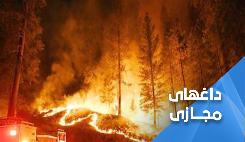سوریه در آتش سوخت و دل مردمش با آن سوخت 
