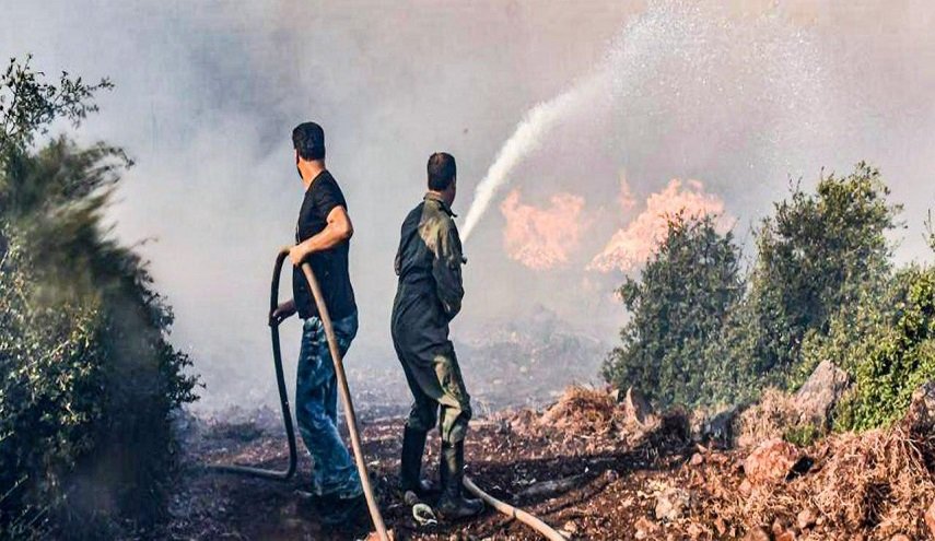 كشف نتائج التحقيقات الأولية بشان 3 حرائق في الغاب ومصياف