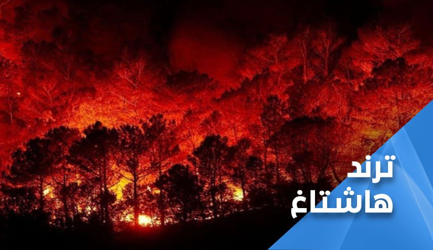 شاهد: هكذا تفاعل المشاهير مع الحرائق المشتعلة في سوريا 