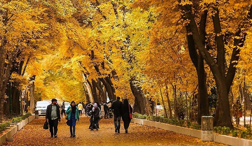 با خوردن این مواد غذایی، خود را در برابر سرماخوردگی پاییز محافظت کنید