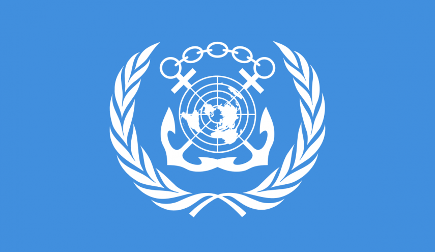 منظمة 