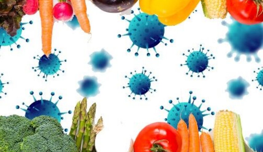 توصیه‌های تغذیه‌ای فصل سرما برای مقابله با کرونا