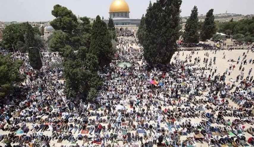 اعلام روز خشم ملت فلسطین در دفاع از پیامبر اسلام(ص)