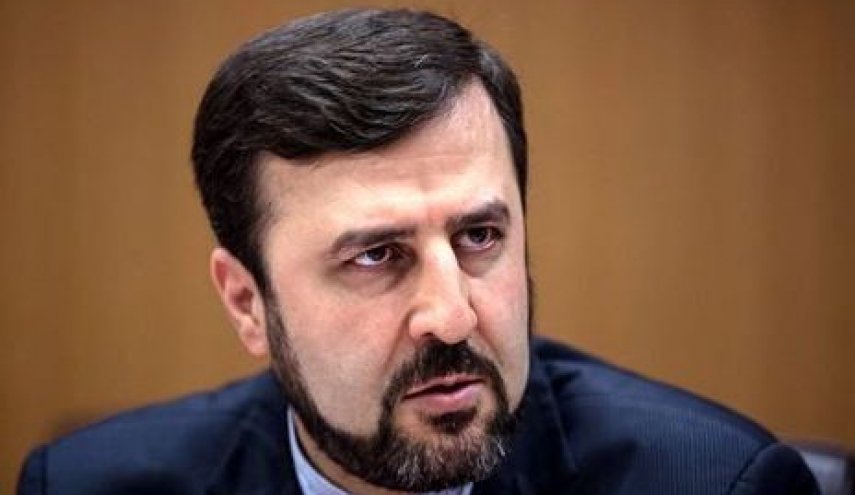 ايران تؤكد على ضمان التنفيذ المؤثر لبرامج التعاون من قبل الوكالة الذرية