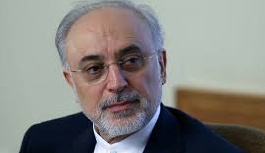 واکنش رییس سازمان انرژی اتمی ایران به ترور شهید فخری زاده