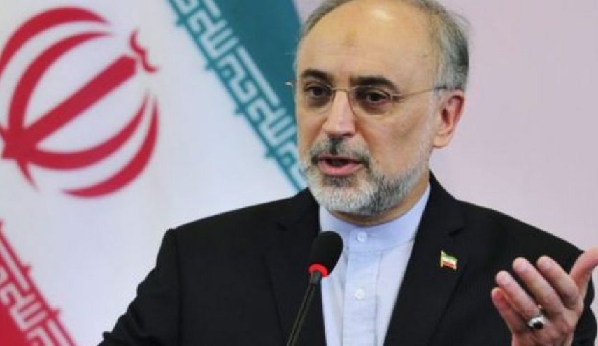 صالحی: شهید فخری زاده زیرساخت‌های پدافند هسته‌ای را به نحو احسن ایجاد کرد