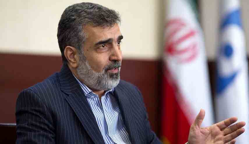 موضع سازمان انرژی اتمی در باره ترور فخری زاده و دسترسی بازرسان آژانس