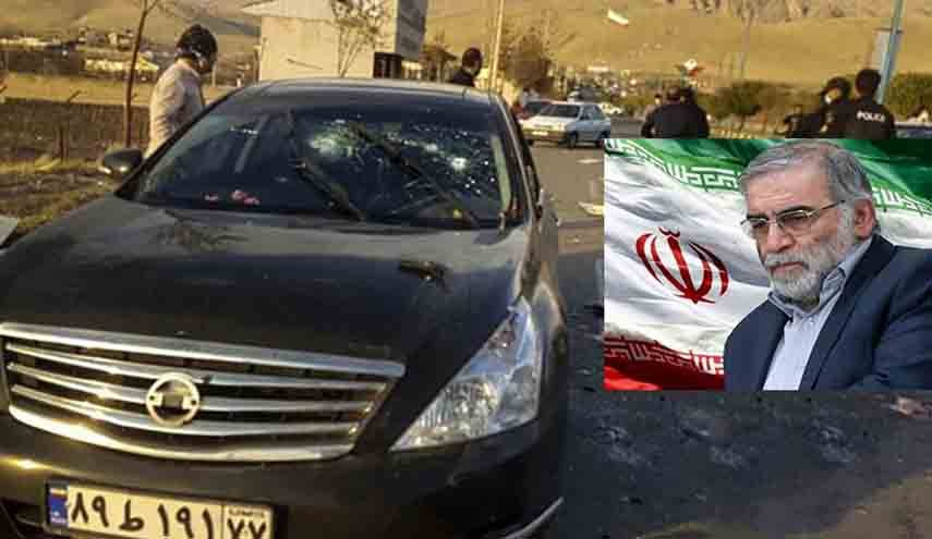 رئیس آکادمی علوم نخجوان شهادت فخری زاده را تسلیت گفت
