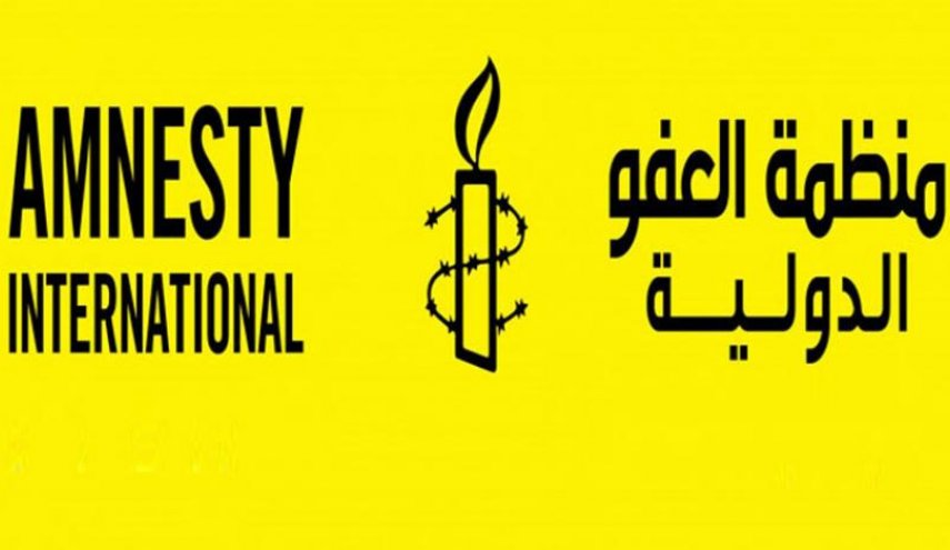 العفو الدولية تحث فرنسا على تعليق تصدير أسلحة إلى لبنان 
