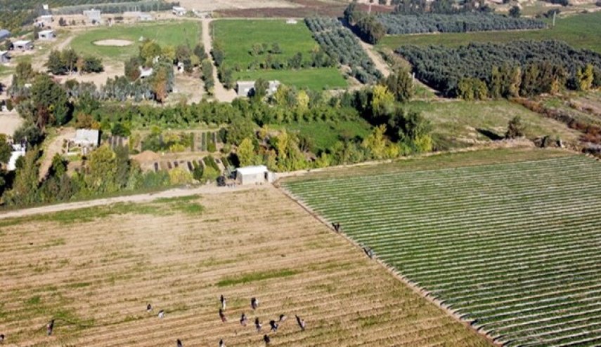 رژیم صهیونیستی، زمین‌های کشاورزی فلسطینیان را زیر آب غرق کرد
