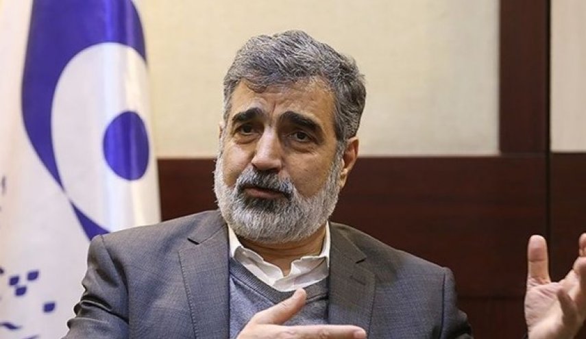 کمالوندی: ذخایر اورانیوم ۲۰ درصد ایران به ۵۵ کیلوگرم رسید/ به سرعت در موقعیتی قرار می گیریم که بهتر از قبل برجام است
