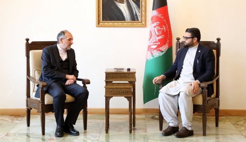 موضوعات مشترک و روند صلح افغانستان؛ محور دیدار «امینیان» و «محب»