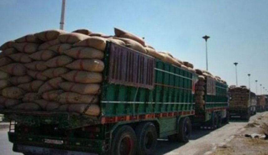گندم‌دزدی تروریست های آمریکایی از سوریه
