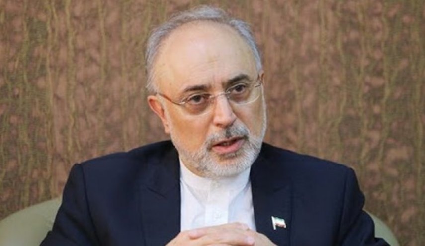 صالحی: میزان اورانیوم غنی شده ۲۰ درصد به ۵۰ کیلوگرم رسید