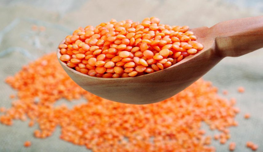 ماذا سيحدث لجسمك عند تناول العدس يوميا؟
