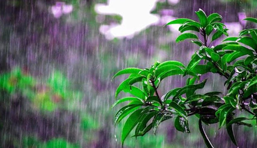 موج جدید بارش‌ها از فردا در کشور/ کاهش 7 درجه ای دما در سواحل خزر
