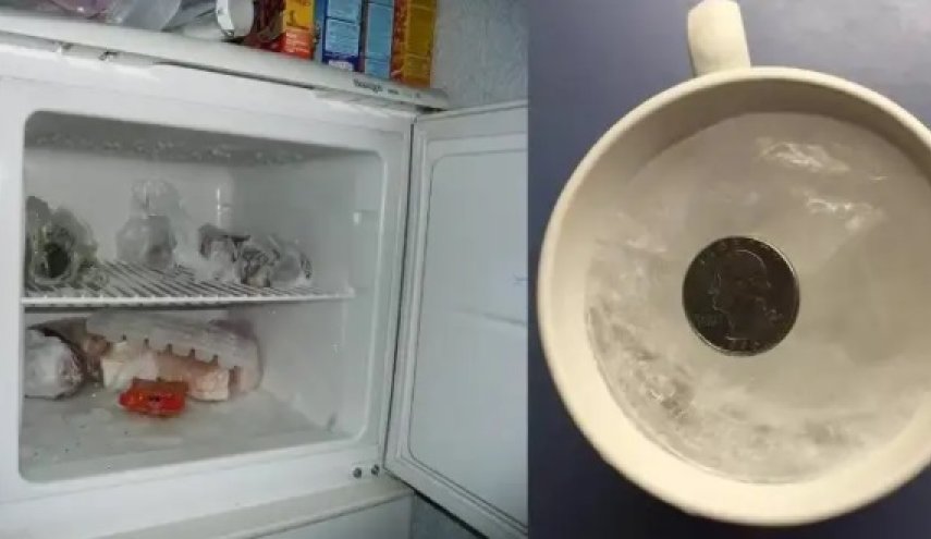 ماذا يحدث عند وضع عملة معدنية داخل ثلاجتك!
