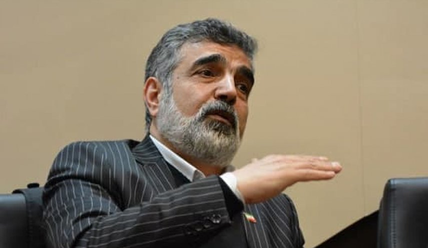 سخنگوی سازمان انرژی اتمی دچار حادثه شد
