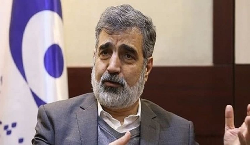 کمالوندی: آژانس روند سازنده ایجاد شده را تخریب نکند