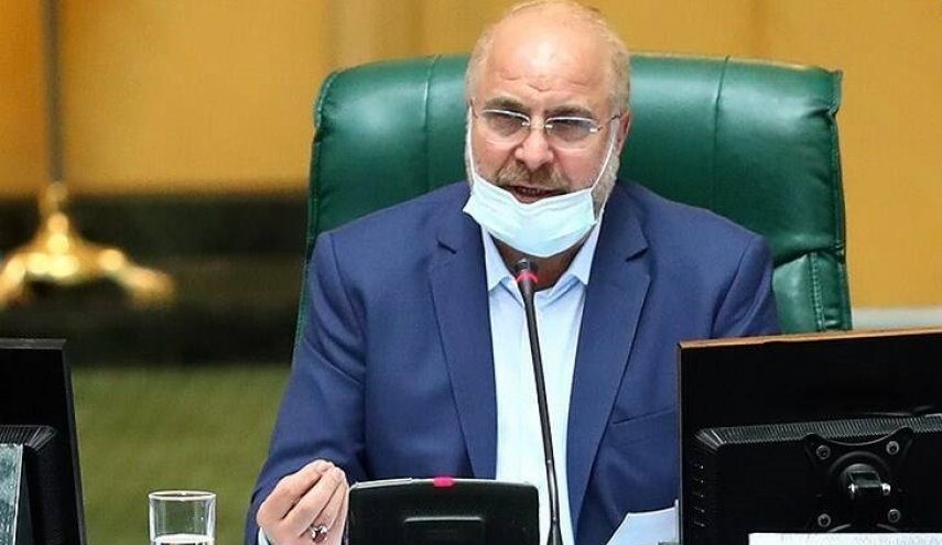 رئیس مجلس: آژانس حق دسترسی به تصاویر مراکز هسته‌ای را ندارد