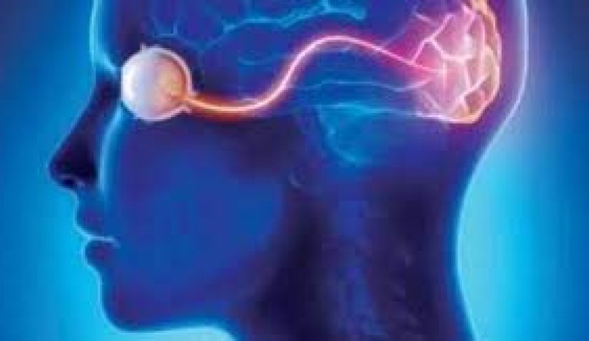 هل ينجح العلم في إعادة البصر للمكفوفين؟
