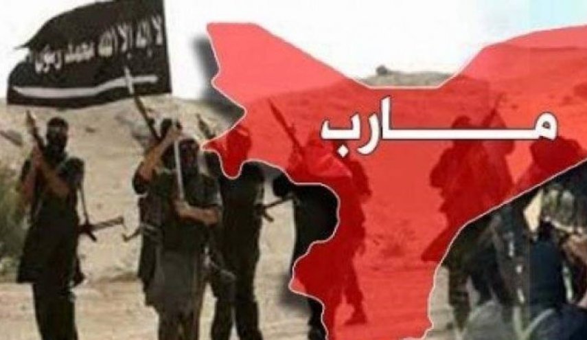 رو شدن سند دیگری از همکاری مثلث آمریکا، ائتلاف سعودی و القاعده در مأرب