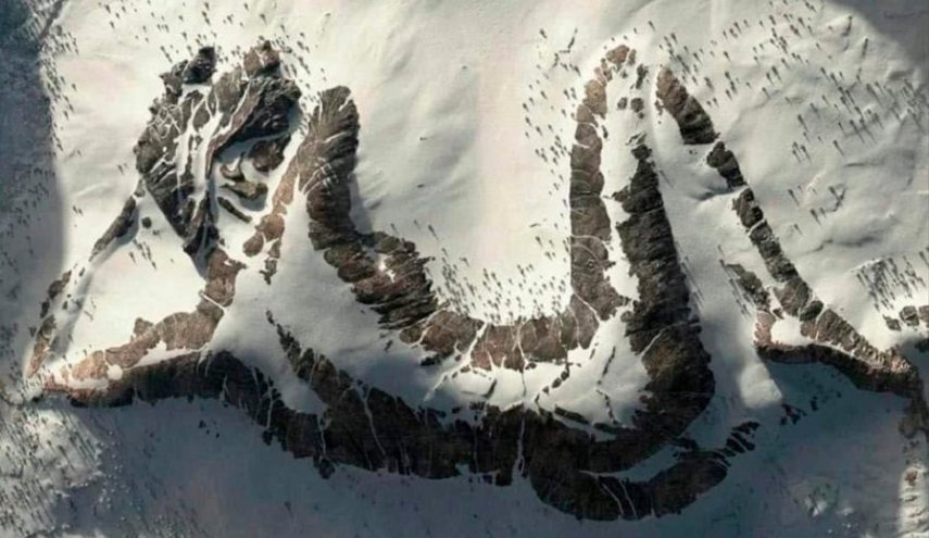 ماهي  سر صورة 