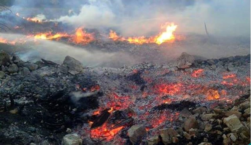 5 قتلى جراء حرائق غابات في جنوب إيطاليا