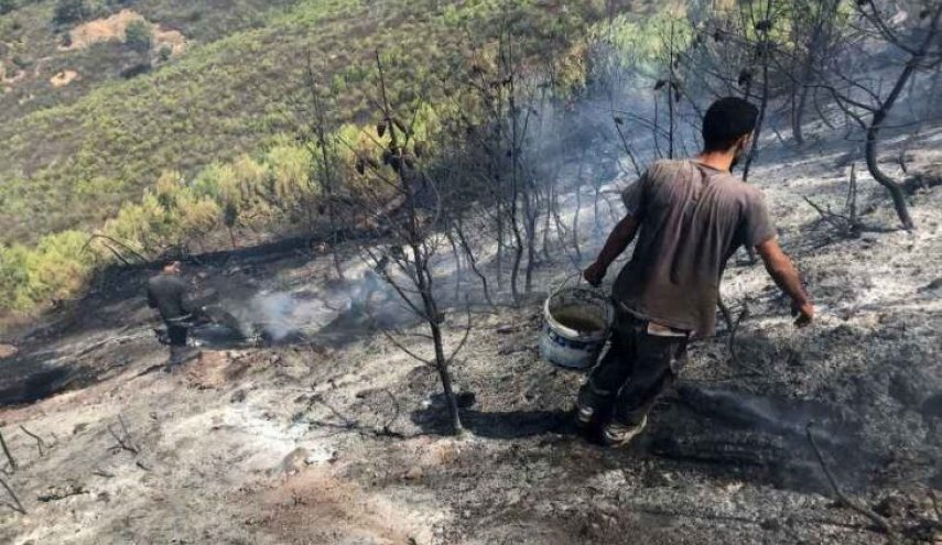 آتش‌سوزی‌ جنگل‌های الجزایر پس از کشته شدن ۶۹ نفر مهار شد