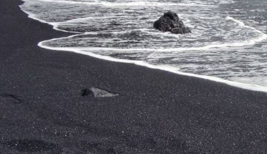 مصر تمتلك قرابة الـ 11 موقعا غنيًّا بالرمال السوداء