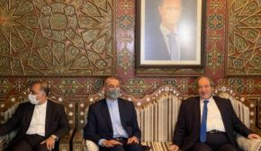 امیرعبداللهیان وارد دمشق شد