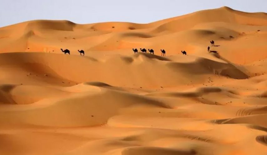 دراسة تكشف أن شبه الجزيرة العربية كانت مساحات خضراء قبل 400 ألف سنة