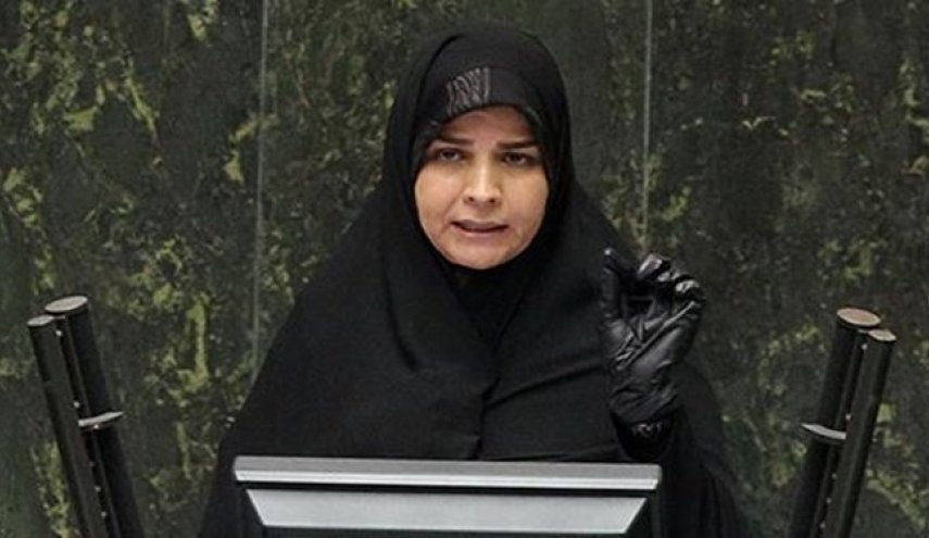 جزئیات سفر هیأت‌ پارلمانی ایران به اتریش/ رئیس مجلس اتریش‌: توفیق ایران در تولید واکسن کرونا قابل تقدیر است