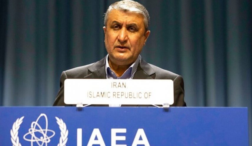 محمد اسلامی: آمریکا فوراً تحریم‌ها را لغو کند و به برجام برگردد