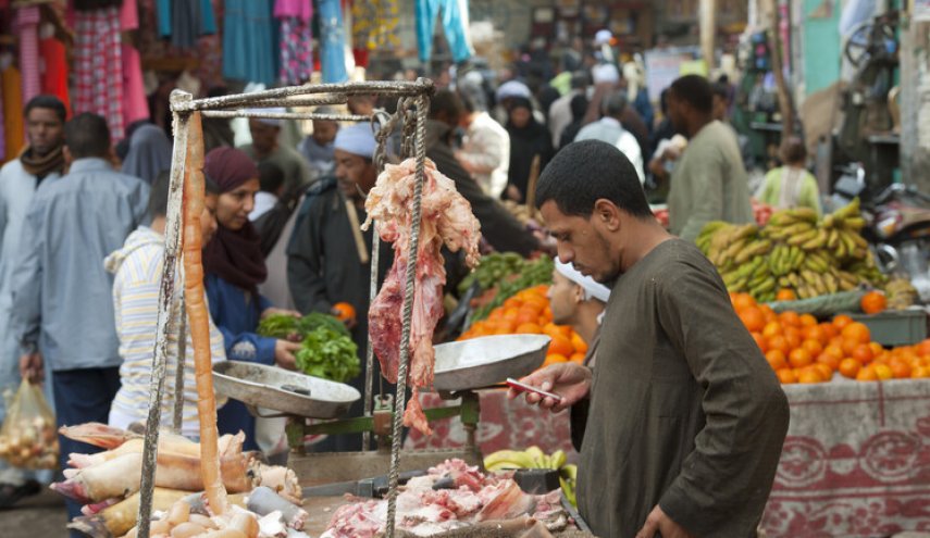 مصر.. حظر استيراد اللحوم الهندية بعد وفاة طفل بفيروس نيباه
